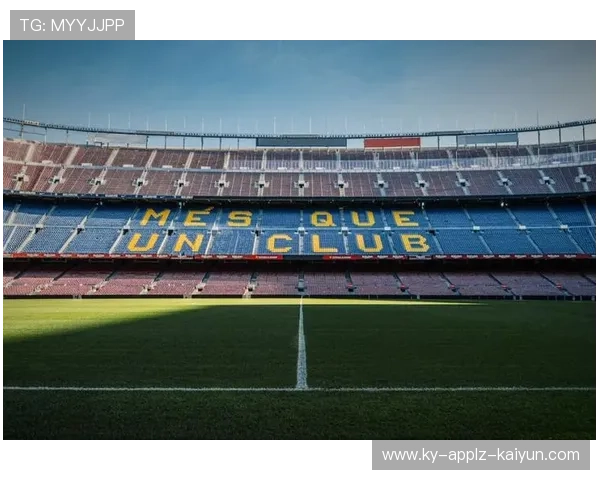 法甲最佳球场设计案例及球迷体验提升分析